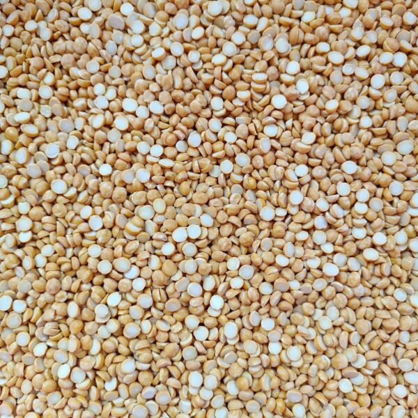 Grains de couscous en gros plan