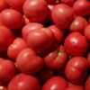Tomates rouges